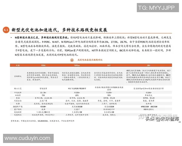 武汉乒乓球队攻防新策略探索与技术革新全景分析 武汉乒乓球队攻防新策略探索与技术革新全景分析