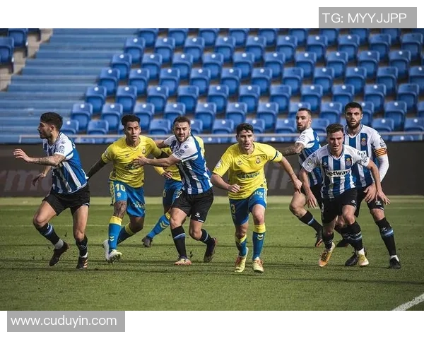 墨尔本与惠灵顿对决精彩回顾及比分分析12月28日赛事情况