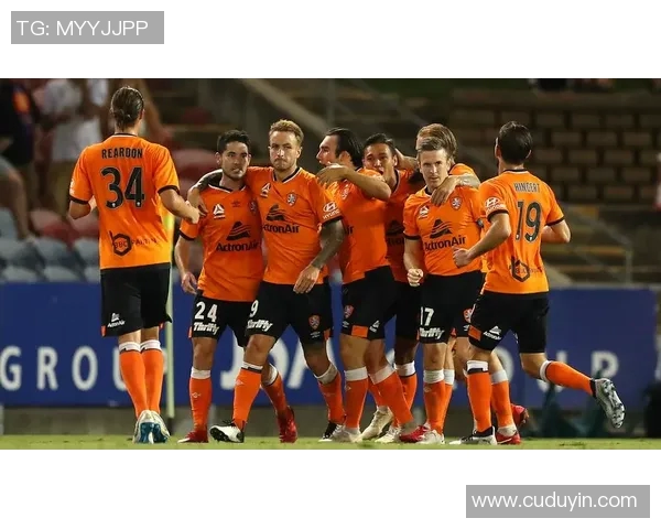 惠灵顿凤凰对阵布里班狮吼精彩赛事前瞻与分析 惠灵顿凤凰对阵布里班狮吼精彩赛事前瞻与分析