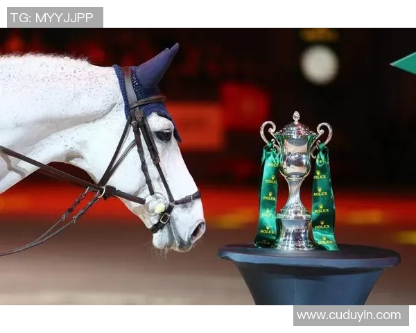 欧塞尔与兰斯对决赛果分析及未来赛事展望 欧塞尔与兰斯对决赛果分析及未来赛事展望