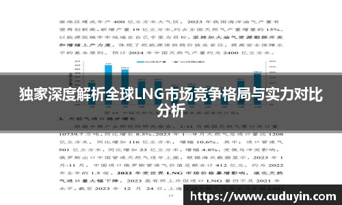 独家深度解析全球LNG市场竞争格局与实力对比分析