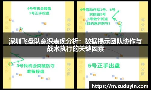 深圳飞盘队意识表现分析：数据揭示团队协作与战术执行的关键因素