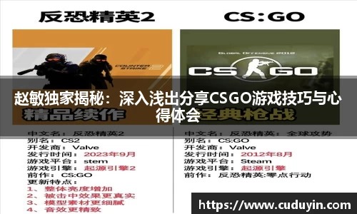 赵敏独家揭秘：深入浅出分享CSGO游戏技巧与心得体会