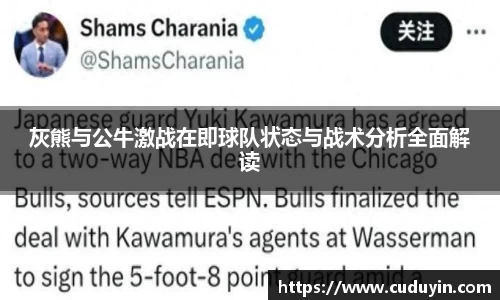 灰熊与公牛激战在即球队状态与战术分析全面解读