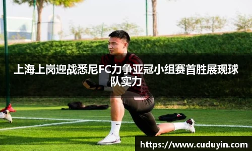 上海上岗迎战悉尼FC力争亚冠小组赛首胜展现球队实力