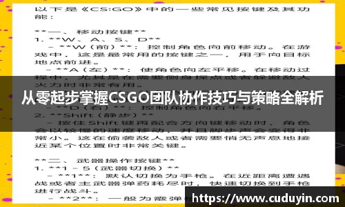 从零起步掌握CSGO团队协作技巧与策略全解析