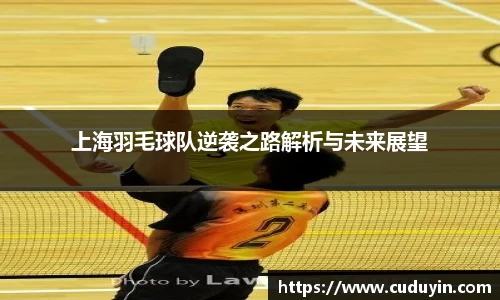 上海羽毛球队逆袭之路解析与未来展望
